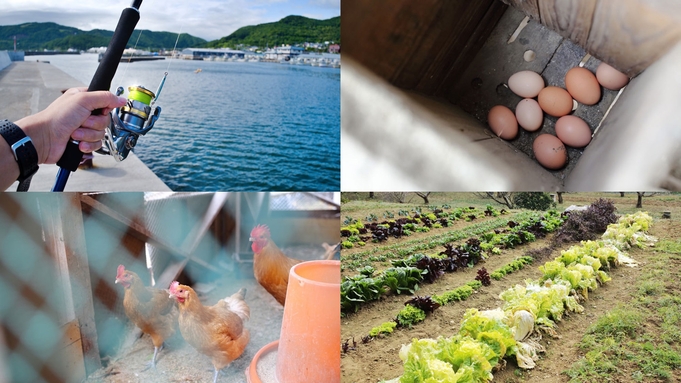 【地元食材を味わう旅】壱岐の自然に触れ、安心安全な食材を採り、味わう！体験型プラン♪
